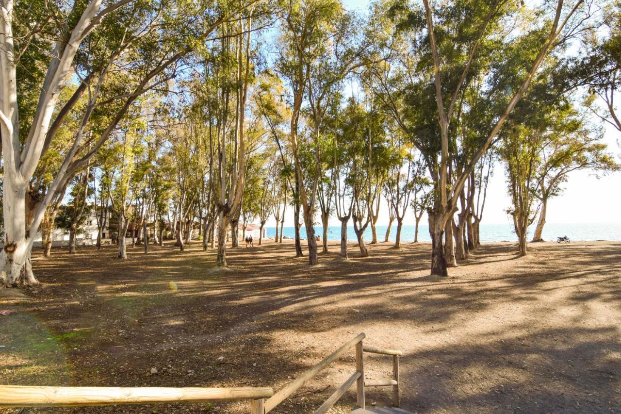 Letmalaga Banos Del Carmen Oneアパートメント エクステリア 写真